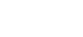 Synergy-Logo-white